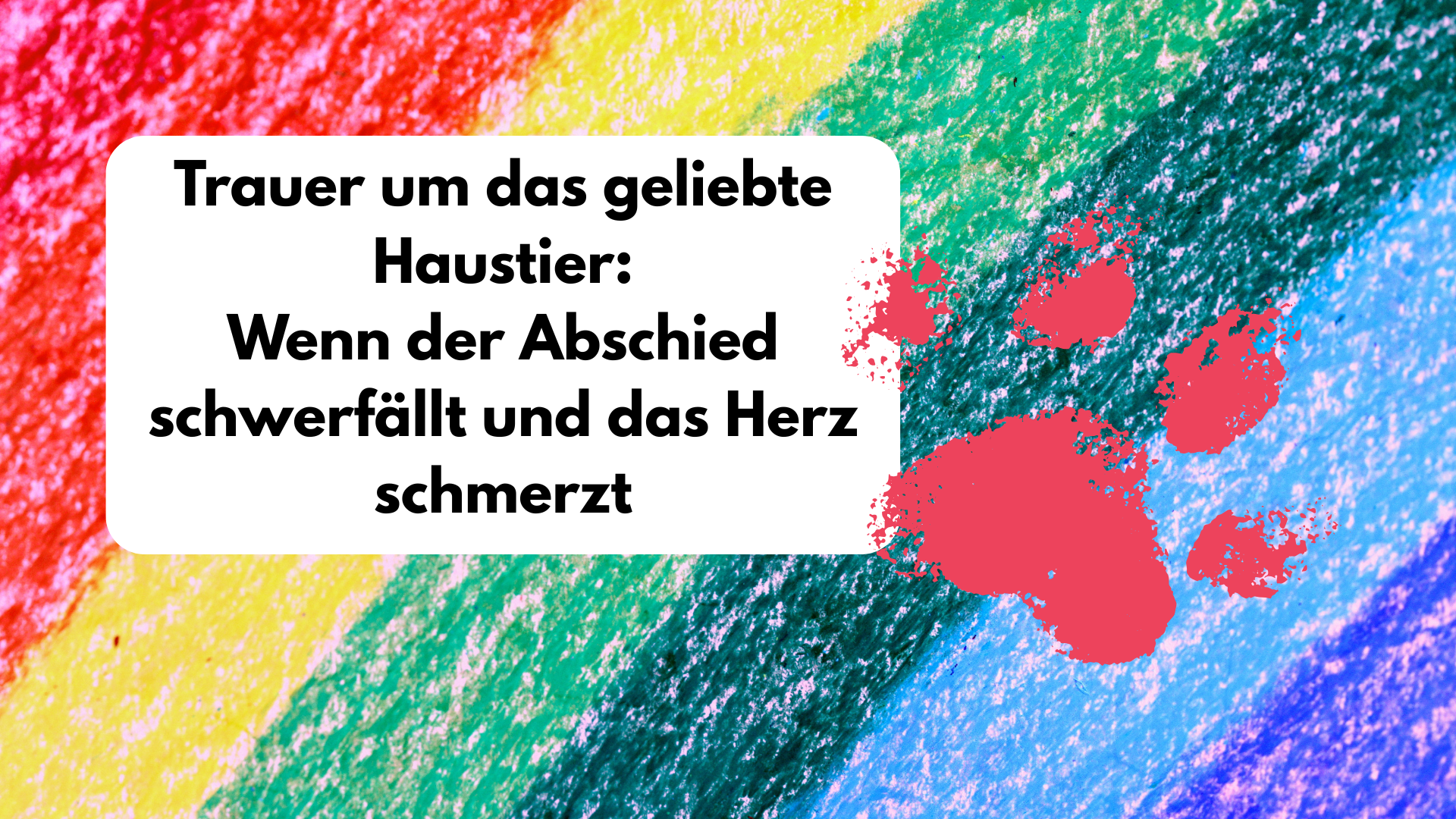 Trauer um das geliebte Haustier: Wenn der Abschied schwerfällt und das Herz schmerzt