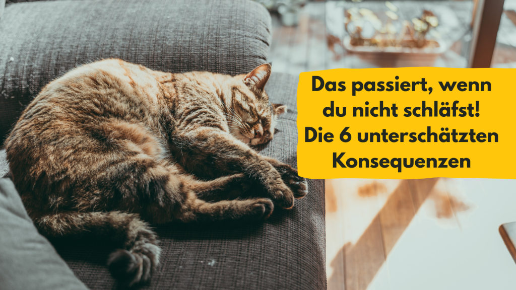 Was passiert wenn man nicht schläft, Julia Geyer