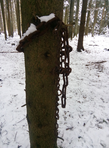 Narzissistische Gewalt