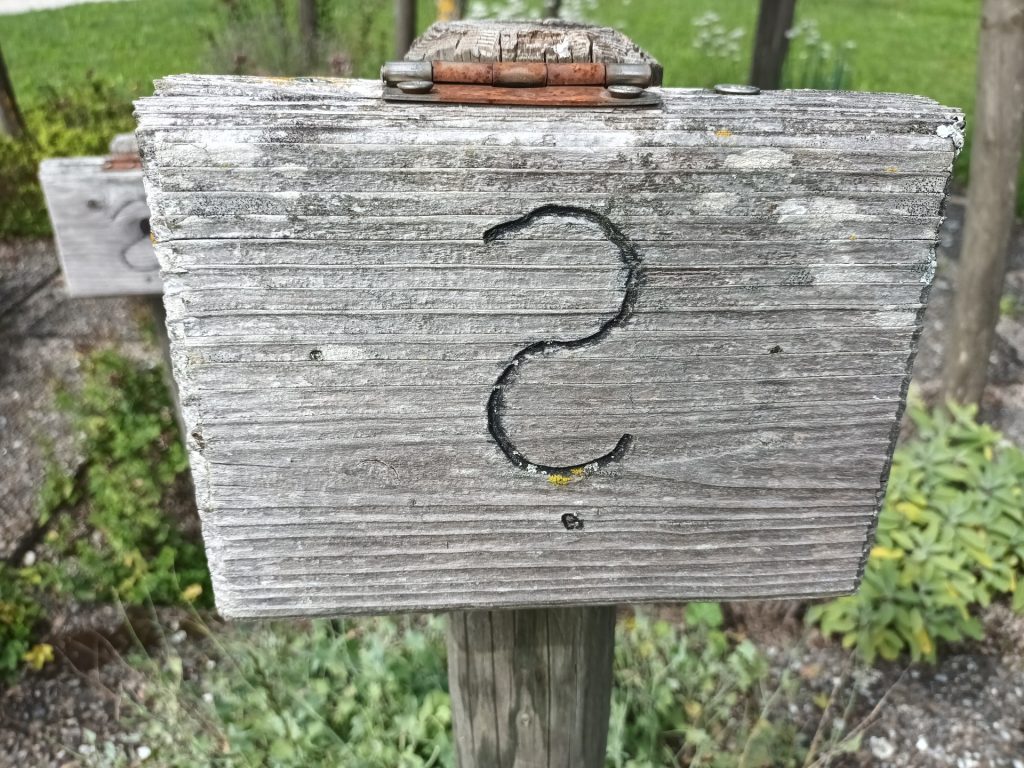 mental load, stress, burnout, selbstliebe, selbstwert, narzismus, Julia Geyer