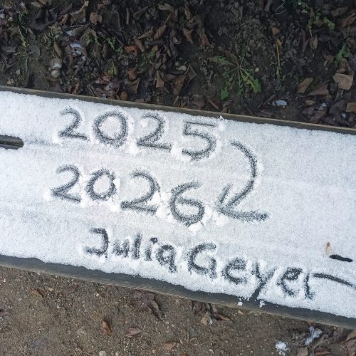 Jahresrückblick 2025: THE BIG SHIFT julia jahreswechsel 2025 2026 schnee