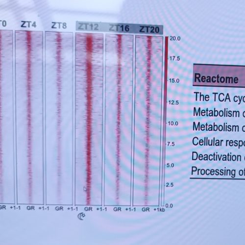 Jahresrückblick 2025: THE BIG SHIFT julia weiterbildung erfahrung stress burnout prävention