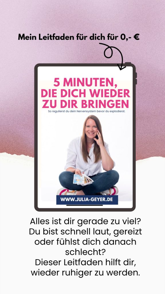 leitfaden 5 minuten regulation von julia geyer