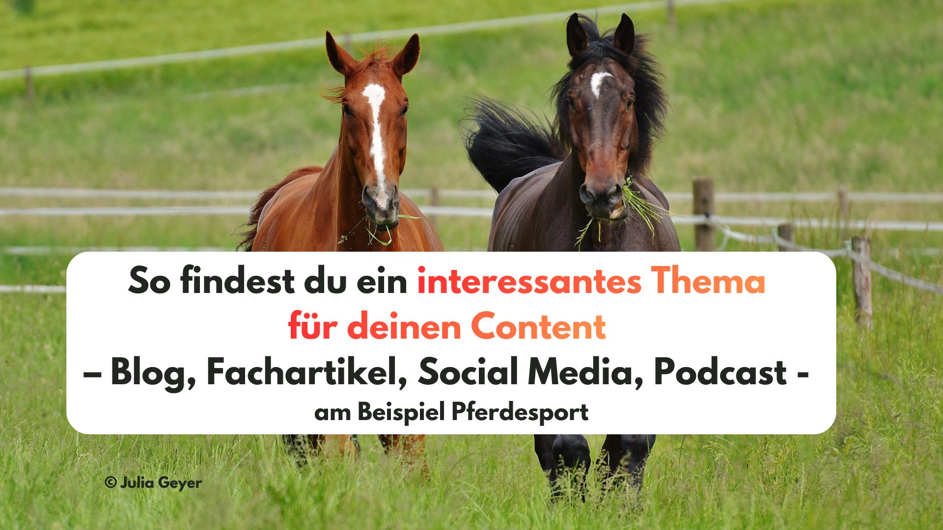 Blog interessantes Thema für deinen Content – Blog, Fachartikel, Social Media, Podcast